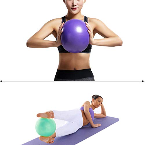 LieYuSport Essential Yoga Starter Set Kit,2pcs Includes 1x Yoga Mat 183cm*61cm*1.0cm,1x Pelota de Pilates 25CM,para Pilates y Otros Entrenamientos de Fitness,Pink