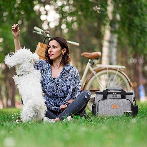 Lifewit Bolsa de Enfriamiento 15L,Bolsa Isotermica de Almuerzo Nevera para Alimentos Frutas Porta de Comida con Forro Plástico Aislamiento Térmico,Genial para Playa,Picnic,Camping,Barbacoa,Gris Lifewit Bolsa de Enfriamiento 15L,Bolsa Isotermica de Almuerzo Nevera para Alimentos Frutas Porta de Comida con Forro Plástico Aislamiento Térmico,Genial para Playa,Picnic,Camping,Barbacoa,Gris