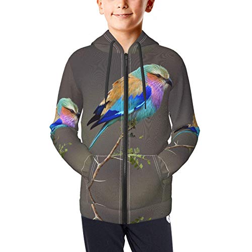 Lilac-Breasted Rollers Kids & Youth Full-Zip Fleece Hoodie Boys Casual Hooded Sweatshirt Jacket Pockets