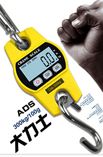 LINRUS Mini Balanza Digital 300 Kg / 100g para Equipaje de Pesca, Pesaje de Viaje, Barra de Acero Colgante, Gancho Electrónico, Balanza, Herramienta de Pesaje de Cocina,Black LINRUS Mini Balanza Digital 300 Kg / 100g para Equipaje de Pesca, Pesaje de Viaje, Barra de Acero Colgante, Gancho Electrónico, Balanza, Herramienta de Pesaje de Cocina,Black