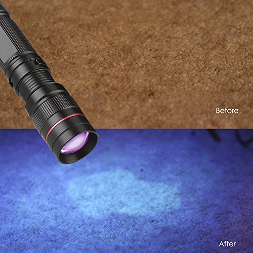 Linterna Ultravioleta, LED Linterna UV luz Negra, Luz Ultravioleta, UV Flashlight 395 nm Luz Lampara uv, Enfoque escalable, Mascotas orina y Mancha Detector Quitamanchas, Detector Billetes Falsos Linterna Ultravioleta, LED Linterna UV luz Negra, Luz Ultravioleta, UV Flashlight 395 nm Luz Lampara uv, Enfoque escalable, Mascotas orina y Mancha Detector Quitamanchas, Detector Billetes Falsos