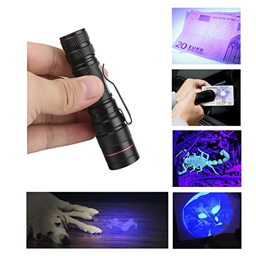 Linterna Ultravioleta, LED Linterna UV luz Negra, Luz Ultravioleta, UV Flashlight 395 nm Luz Lampara uv, Enfoque escalable, Mascotas orina y Mancha Detector Quitamanchas, Detector Billetes Falsos