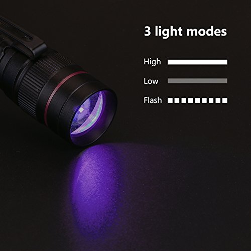 Linterna Ultravioleta, LED Linterna UV luz Negra, Luz Ultravioleta, UV Flashlight 395 nm Luz Lampara uv, Enfoque escalable, Mascotas orina y Mancha Detector Quitamanchas, Detector Billetes Falsos Linterna Ultravioleta, LED Linterna UV luz Negra, Luz Ultravioleta, UV Flashlight 395 nm Luz Lampara uv, Enfoque escalable, Mascotas orina y Mancha Detector Quitamanchas, Detector Billetes Falsos