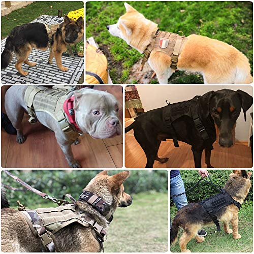 li's Militar táctico arnés Perro Pastor alemán Mascota Chaleco de Perro con Mango Nylon Bungee Perro Correa arnés para pequeños Perros Grandes Cachorro (Color : BK Harness and Leash, Size : Large) li's Militar táctico arnés Perro Pastor alemán Mascota Chaleco de Perro con Mango Nylon Bungee Perro Correa arnés para pequeños Perros Grandes Cachorro (Color : BK Harness and Leash, Size : Large)