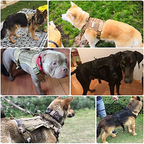 li's Militar táctico arnés Perro Pastor alemán Mascota Chaleco de Perro con Mango Nylon Bungee Perro Correa arnés para pequeños Perros Grandes Cachorro (Color : BK Harness and Leash, Size : Large)