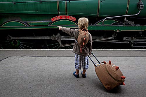 LittleLife Children's Suitcase - Dinosaur Children's Suitcase - Dinosaur, Unisex Adulto, Brown, S LittleLife Children's Suitcase - Dinosaur Children's Suitcase - Dinosaur, Unisex Adulto, Brown, S