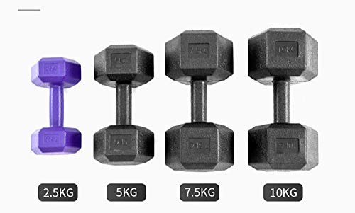 liutao Mancuernas hexagonales 5 kg 10 kg Mancuernas 20 kg Mancuernas Equipo de Gimnasio en casa Solo 2.5 kg (Morado) liutao Mancuernas hexagonales 5 kg 10 kg Mancuernas 20 kg Mancuernas Equipo de Gimnasio en casa Solo 2.5 kg (Morado)