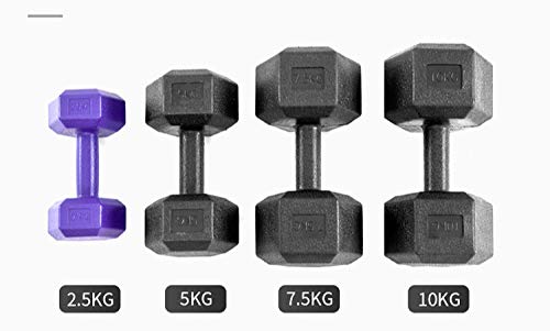 liutao Mancuernas hexagonales 5 kg 10 kg Mancuernas 20 kg Mancuernas Equipo de Gimnasio en casa Solo 2.5 kg (Morado)