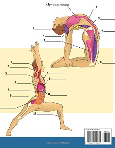 Livro Para Pintar da Anatomia do Ioga: 3-em-1 Compilação | Mais de 150 Exercícios de Cores com Poses de Ioga para Principiantes, Intermédios y Experientes Muito Detalhados