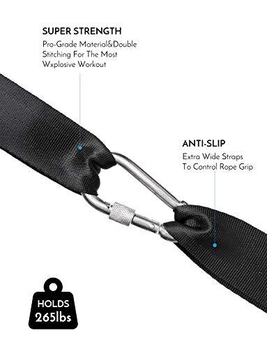 Lixada Correa de Anclaje Correas de Fijación para Cuerda de Batalla 2 Correas de Nylon+ 1 Mosquetón de Acero Inoxidable para Cuerdas Crossfit Gimnasio Formación Lixada Correa de Anclaje Correas de Fijación para Cuerda de Batalla 2 Correas de Nylon+ 1 Mosquetón de Acero Inoxidable para Cuerdas Crossfit Gimnasio Formación