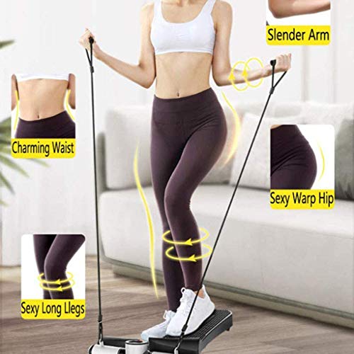 LJBOZ Swing Stepper, Mini Stepper Ejercicio Aparatos para Hacer Ejercicio en Casa, con Pantalla LCD y Cuerdas de Resistencia, para Usuarios Principiantes y Avanzados