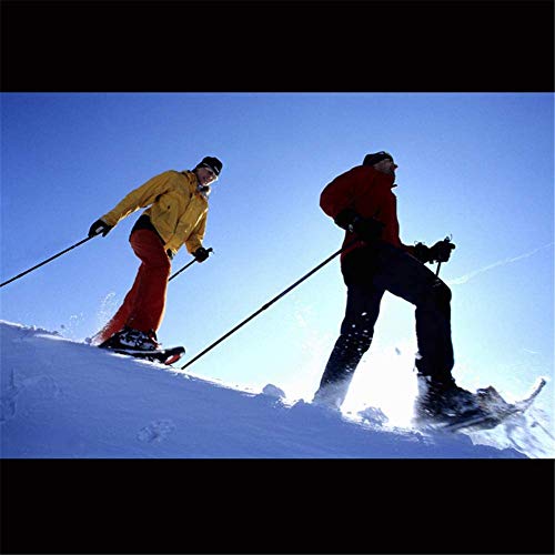 LJXiioo Raquetas de Nieve Ligeras de 25"Raquetas de Nieve con Polainas Impermeables y Bastones de Trekking Ajustables antichoque, Bolsa de Transporte