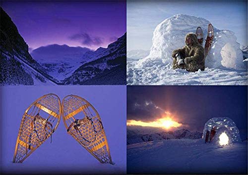 LJXiioo Raquetas de Nieve Ligeras de 25"Raquetas de Nieve con Polainas Impermeables y Bastones de Trekking Ajustables antichoque, Bolsa de Transporte LJXiioo Raquetas de Nieve Ligeras de 25"Raquetas de Nieve con Polainas Impermeables y Bastones de Trekking Ajustables antichoque, Bolsa de Transporte