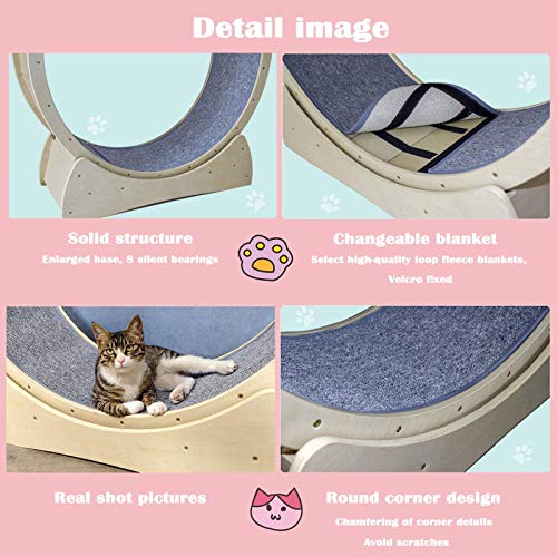 LJYY Juguete Giratorio para Ejercicios con Ruedas para Correr para Gatos, Movimiento de Ruedas para Gatos, Centro de Actividades para Gatos en Interiores (Color: Gris, Tamaño: Pequeño) LJYY Juguete Giratorio para Ejercicios con Ruedas para Correr para Gatos, Movimiento de Ruedas para Gatos, Centro de Actividades para Gatos en Interiores (Color: Gris, Tamaño: Pequeño)