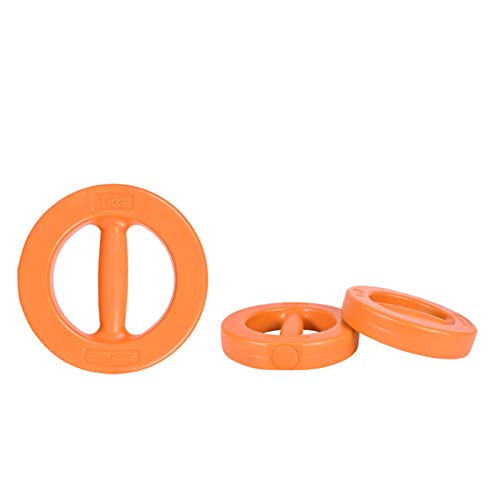 LK-HOME Mancuernas, Ejercicio De Fitness En Casa Y Conjunto De Mancuernas De Fitness, Ejercicio De Músculos De Cuerpo Completo, Equipo De Fitness para Adelgazar (se Vende Un Par),1kg*2 LK-HOME Mancuernas, Ejercicio De Fitness En Casa Y Conjunto De Mancuernas De Fitness, Ejercicio De Músculos De Cuerpo Completo, Equipo De Fitness para Adelgazar (se Vende Un Par),1kg*2