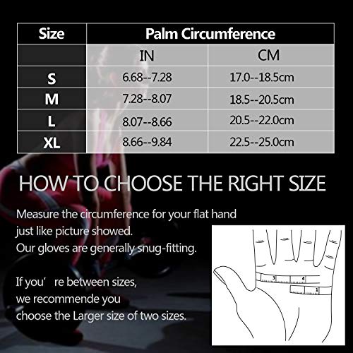 LOHOTEK Guantes Gimnasio Hombre Mujer Guantes Acolchados Unisex de Levantamiento de Pesos Guantes de Trabajo con Soporte de Muñeca para Ejercicio Físico Gimnasio al Aire Libre (Azul, L) LOHOTEK Guantes Gimnasio Hombre Mujer Guantes Acolchados Unisex de Levantamiento de Pesos Guantes de Trabajo con Soporte de Muñeca para Ejercicio Físico Gimnasio al Aire Libre (Azul, L)