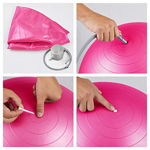 LOMOS Pelota de Ejercicio Profesional con Bomba de Aire en Distintos tamaños y Colores LOMOS Pelota de Ejercicio Profesional con Bomba de Aire en Distintos tamaños y Colores