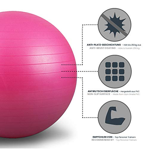 LOMOS Pelota de Ejercicio Profesional con Bomba de Aire en Distintos tamaños y Colores LOMOS Pelota de Ejercicio Profesional con Bomba de Aire en Distintos tamaños y Colores