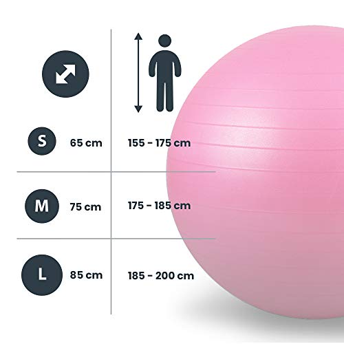 LOMOS Pelota de Ejercicio Profesional con Bomba de Aire en Distintos tamaños y Colores LOMOS Pelota de Ejercicio Profesional con Bomba de Aire en Distintos tamaños y Colores