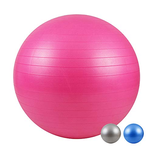 LOMOS Pelota de Ejercicio Profesional con Bomba de Aire en Distintos tamaños y Colores LOMOS Pelota de Ejercicio Profesional con Bomba de Aire en Distintos tamaños y Colores