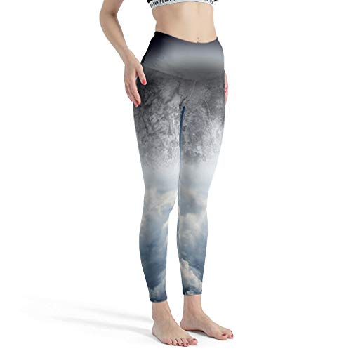 LPLoveYogaShop Leggings para mujer, diseño de luna, nubes, cielo, paisaje, gráficos, ajustados, polainas de yoga, polainas de danza para deporte blanco XL