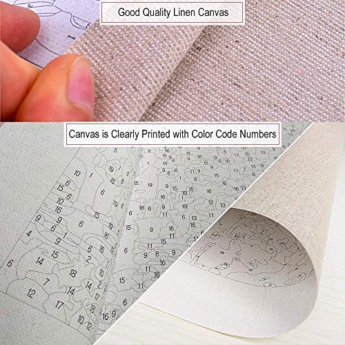 LSDEERE Pinturas por números Adultos y niños, Bailarinas de Ballet DIY, Pinturas al óleo, pre-Impresas, Juego de Pintura al óleo, para decoración de casa con Marco de Madera de 16 x 20 Pulgadas LSDEERE Pinturas por números Adultos y niños, Bailarinas de Ballet DIY, Pinturas al óleo, pre-Impresas, Juego de Pintura al óleo, para decoración de casa con Marco de Madera de 16 x 20 Pulgadas