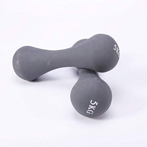 LSS Inicio de la Aptitud Brazo Delgado Hombres y Mujeres aeróbicos Cuerpo-Edificio Hexagonal de plástico de Color Fijo Dumbbells inmersión Dumbbells Sola Venta (Size : 5kg)