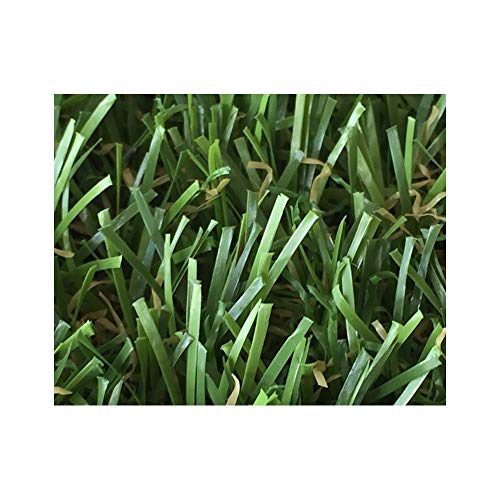 LUCATEX - rollo de Césped artificial GUIMARAS 2x5metros - 20mm de altura - alta densidad - calidad profesional - ideal para exteriores, piscinas, terrazas, jardín, ideal mascotas - fácil instalación LUCATEX - rollo de Césped artificial GUIMARAS 2x5metros - 20mm de altura - alta densidad - calidad profesional - ideal para exteriores, piscinas, terrazas, jardín, ideal mascotas - fácil instalación