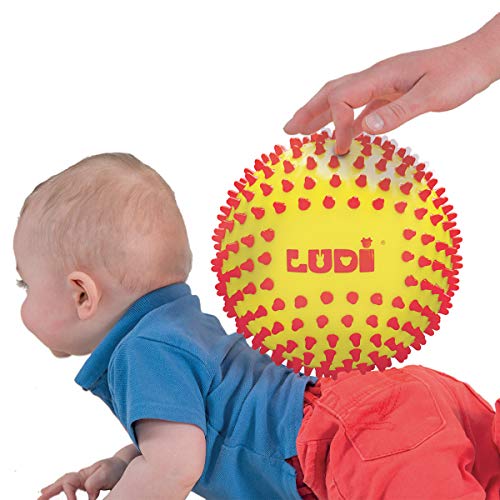 Ludi 30018 - Pelota sensorial Bicolor para el Despertador del bebé a Partir de 6 Meses pequeños Puntos Duros, Pelota de Juego o de Masaje fácil de agarrar diámetro 15 cm