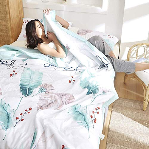 LZCMN Ropa de Cama Conjuntos colchonetas Lavable Edredón Simple/Doble/Rey Edredón Suavidad Consolador Lanza For Sofá Cama Manta Lanza Microfibra Anti-ácaro Ligera 100% Algodón Conjunto de Nórdices