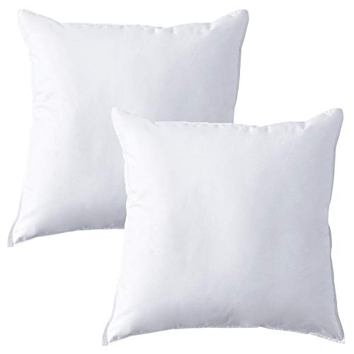 Mack - Cojín de Plumas 60x60cm 2 Piezas Mack - Cojín de Plumas 60x60cm 2 Piezas