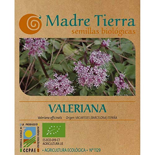 Madre Tierra - Semillas de Valeriana - (Valeriana Officinalis) Origen Vacarisses (Barcelona) Peso Aproximado - 0.10 Gramos