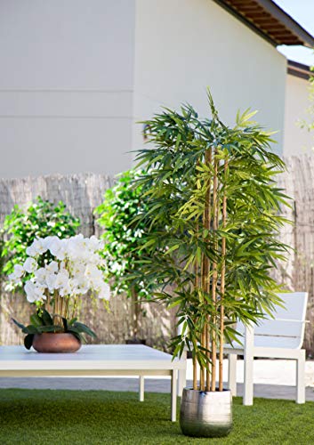 Maia Shop 1137 Bambú Cañas Naturales, Elaborados con los Mejores Materiales, Ideal para Decoración de hogar, Árbol, Planta Artificial (150 cm), Mixtos Maia Shop 1137 Bambú Cañas Naturales, Elaborados con los Mejores Materiales, Ideal para Decoración de hogar, Árbol, Planta Artificial (150 cm), Mixtos
