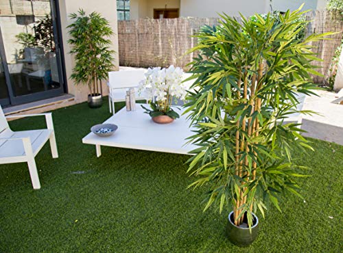 Maia Shop 1137 Bambú Cañas Naturales, Elaborados con los Mejores Materiales, Ideal para Decoración de hogar, Árbol, Planta Artificial (150 cm), Mixtos Maia Shop 1137 Bambú Cañas Naturales, Elaborados con los Mejores Materiales, Ideal para Decoración de hogar, Árbol, Planta Artificial (150 cm), Mixtos