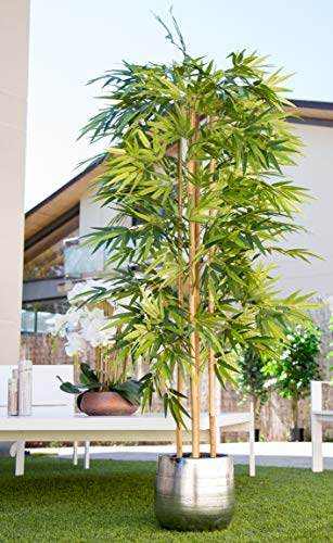 Maia Shop 1137 Bambú Cañas Naturales, Elaborados con los Mejores Materiales, Ideal para Decoración de hogar, Árbol, Planta Artificial (150 cm), Mixtos