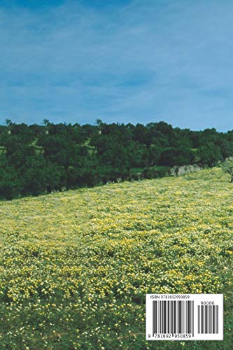 Mallorca: Cuaderno | Diario | Diario | Página alineada