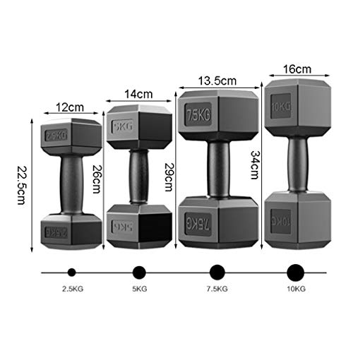 Mancuernas Antideslizantes Un par hexagonal con mancuernas de los hombres de Campanilla respetuosa del medio ambiente de PVC con mancuernas Inicio Gimnasio Privado Deportes Fitness Equipment push-up S Mancuernas Antideslizantes Un par hexagonal con mancuernas de los hombres de Campanilla respetuosa del medio ambiente de PVC con mancuernas Inicio Gimnasio Privado Deportes Fitness Equipment push-up S