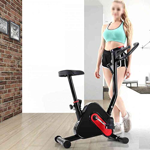 Mangetal F-Bike - Bicicleta estática plegable, semirecostada, equipo deportivo, ideal para entrenamiento de cardio Mangetal F-Bike - Bicicleta estática plegable, semirecostada, equipo deportivo, ideal para entrenamiento de cardio
