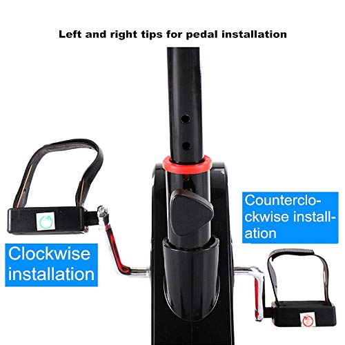 Mangetal F-Bike - Bicicleta estática plegable, semirecostada, equipo deportivo, ideal para entrenamiento de cardio Mangetal F-Bike - Bicicleta estática plegable, semirecostada, equipo deportivo, ideal para entrenamiento de cardio