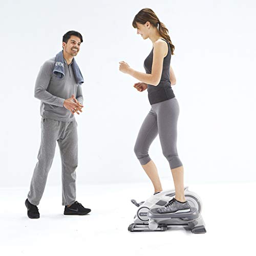 Máquinas de Cardio Stepper Escalador Mudo elíptico Jogger Carga Que Lleva 100 kg de Equipos de Fitness no lastima la Rodilla (Color : Gray, Size : 63 * 51 * 33cm)