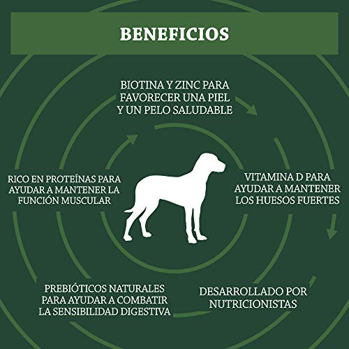 Marca Amazon - Solimo - Alimento seco completo para perro adulto rico en cordero y arroz, 1 Pack de 20 kg