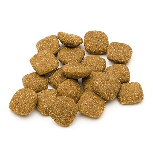 Marca Amazon - Solimo - Alimento seco completo para perro adulto rico en cordero y arroz, 1 Pack de 20 kg
