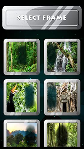 Marcos de fotos de Jungle Forest Marcos de fotos de Jungle Forest