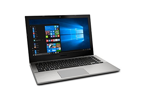 MEDION AKOYA S3409 - MD 61004 - Ordenador portátil de 13.3" FHD (Intel Core i7-7500U, RAM de 8 GB, SSD de 256 GB, Intel HD Graphics, Windows 10), plata