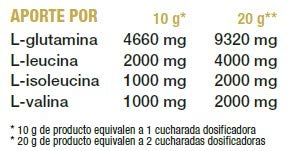 MEGA PLUS BCAA + GLUTAMINA CONCEPT - Complemento alimenticio a base de Aminoácidos y glutamina - 500G, Limón MEGA PLUS BCAA + GLUTAMINA CONCEPT - Complemento alimenticio a base de Aminoácidos y glutamina - 500G, Limón
