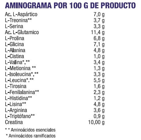 MEGA PLUS ISOLATE CONCEPT - Complemento alimenticio a base de Proteina isolada - 1Kg, Chocolate