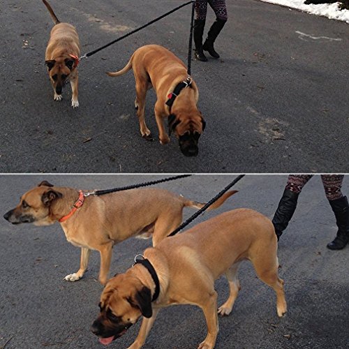 MEKEET Correa de Perro Doble (Negro) MEKEET Correa de Perro Doble (Negro)