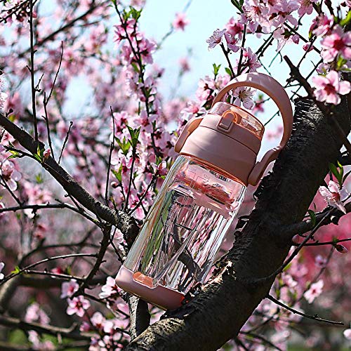 Mencom - Botellas de agua de 2 l botella de agua, botella de agua, portátil, para senderismo, correr, ciclismo, fitness