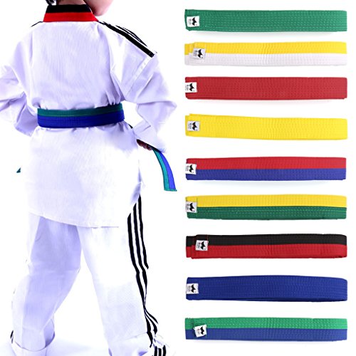 Mentin - Cinturón para taekwondo karate judo 250 x 4 cm, 9 colores (blanco, amarillo)