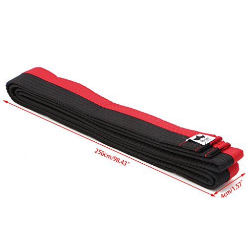 Mentin - Cinturón para taekwondo karate judo 250 x 4 cm, 9 colores (blanco, amarillo) Mentin - Cinturón para taekwondo karate judo 250 x 4 cm, 9 colores (blanco, amarillo)
